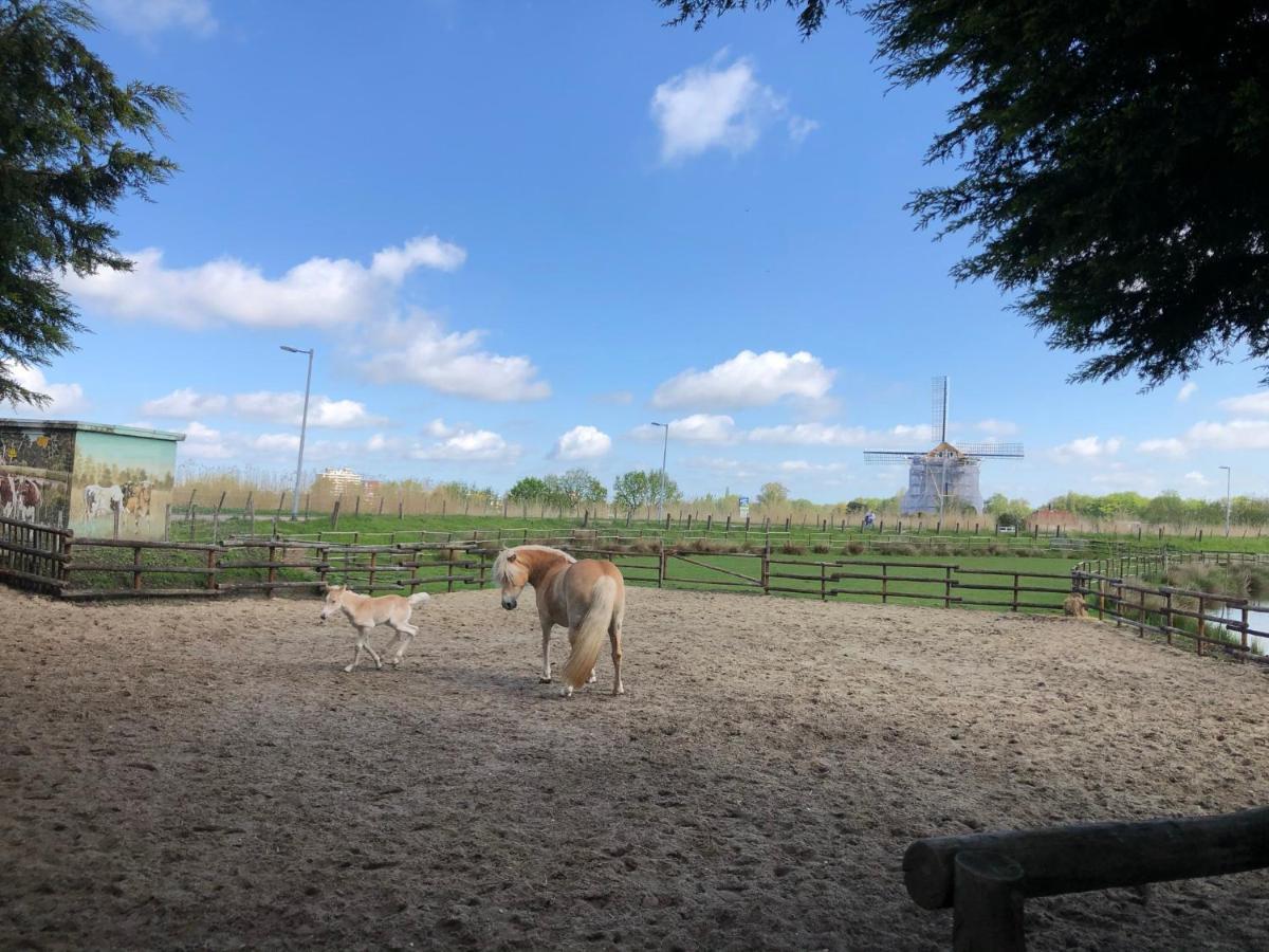 Chalet Aan De Rotte Rotterdam Bagian luar foto